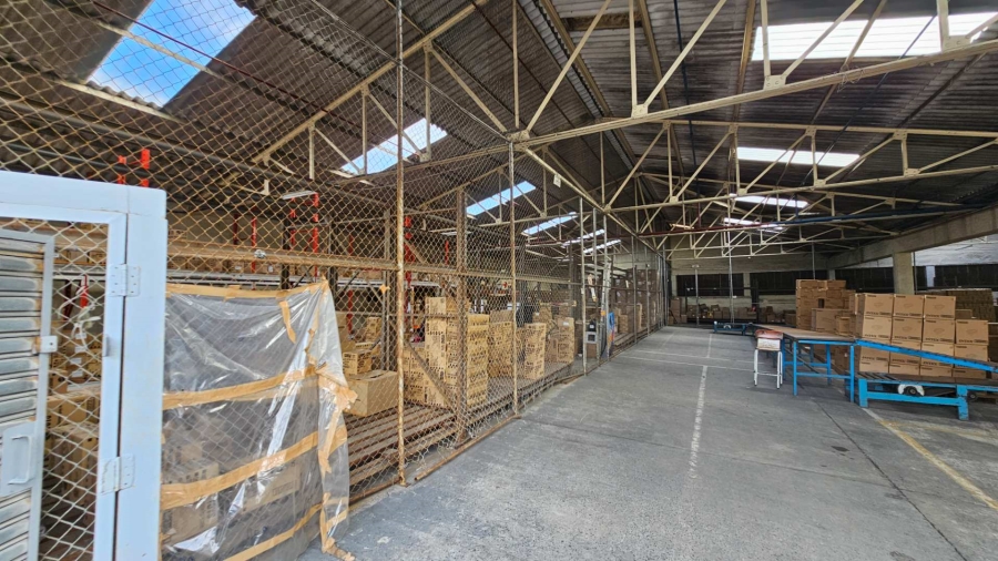 To Let commercial Property for Rent in Epping Industrial Western Cape